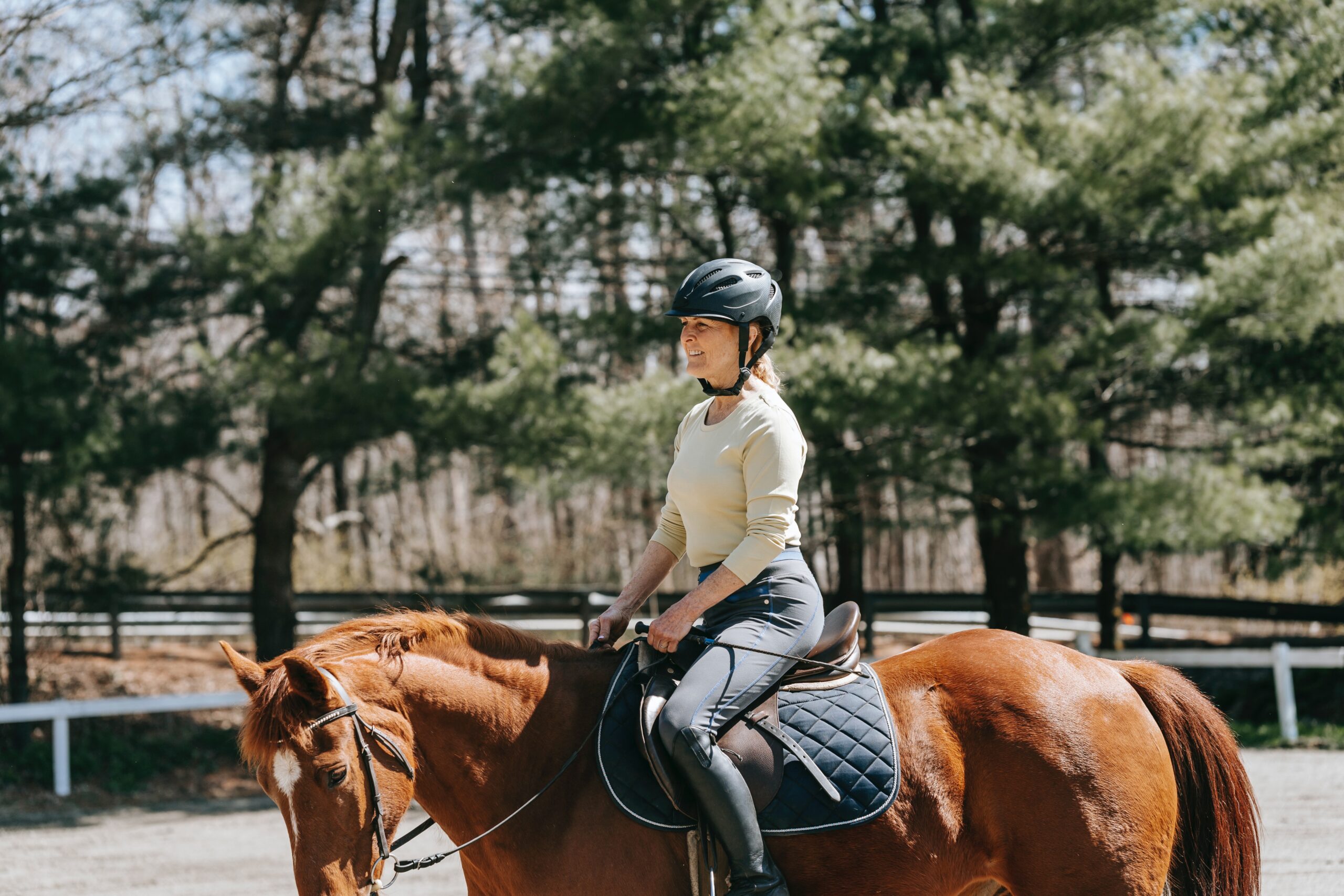 how-to-get-horse-hair-out-of-saddle-pads-our-secret-technique