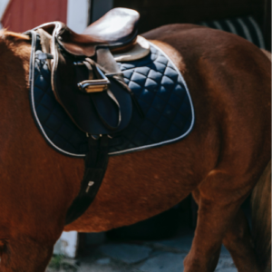 buy english saddle online