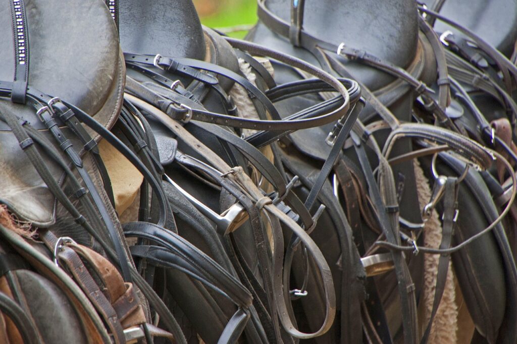 english saddles lined up in a row