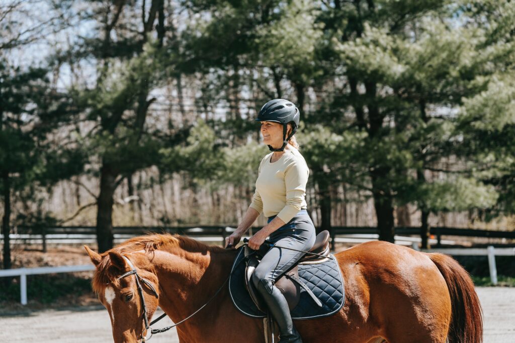 how to remove horse hair from a saddle pad