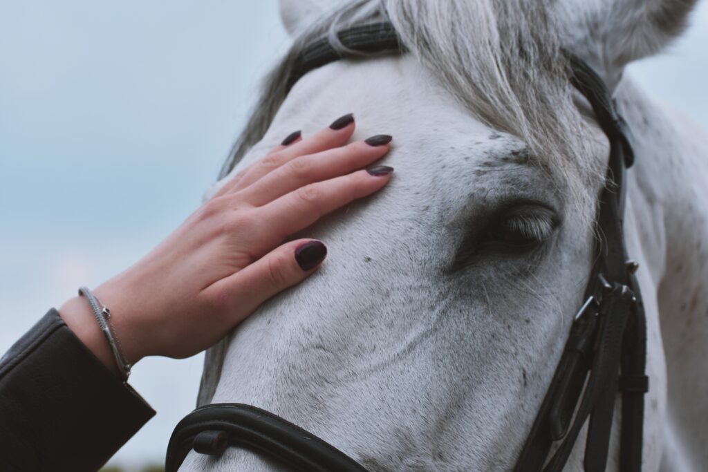 a hand with black nail polish on a gray horse