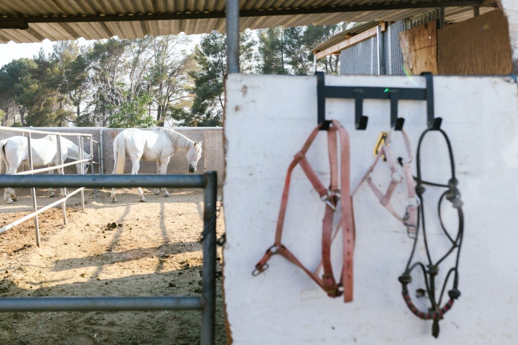 A nylon and rope horse halter