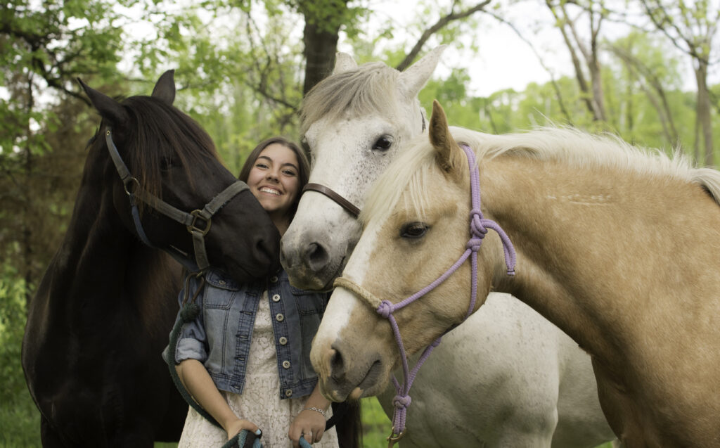 Girl with three horses in different types of halters