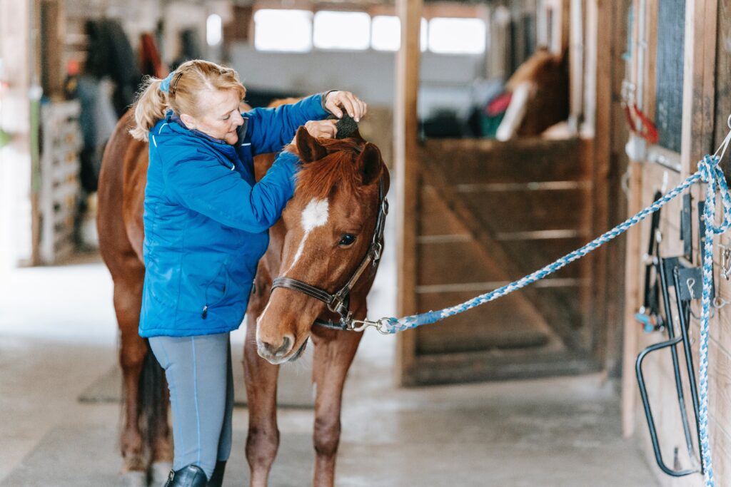 a woman grooming her horse with a brush