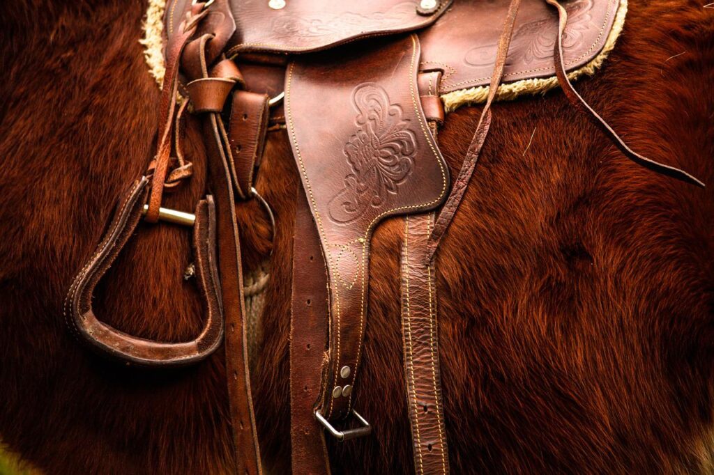 western saddle on a horse