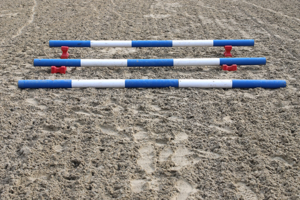 Example of a cavaletti exercise you can do with your horse