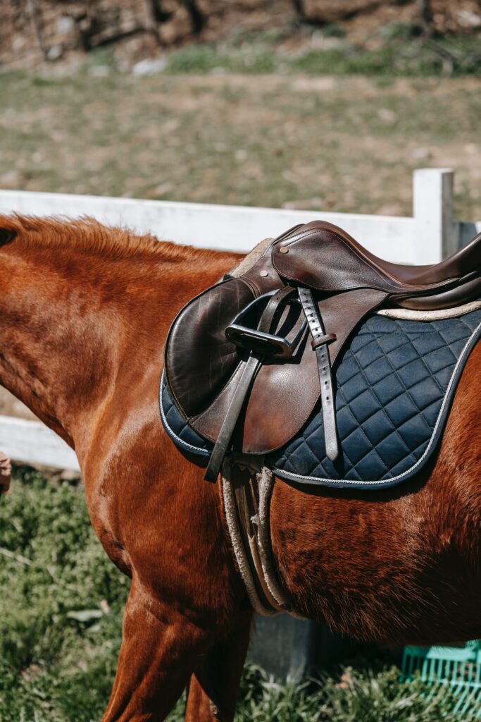 A brown english saddle on a black saddle pad