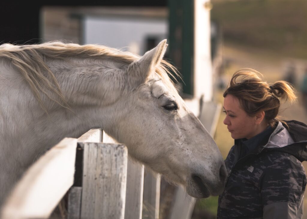 A person petting a bored horse.