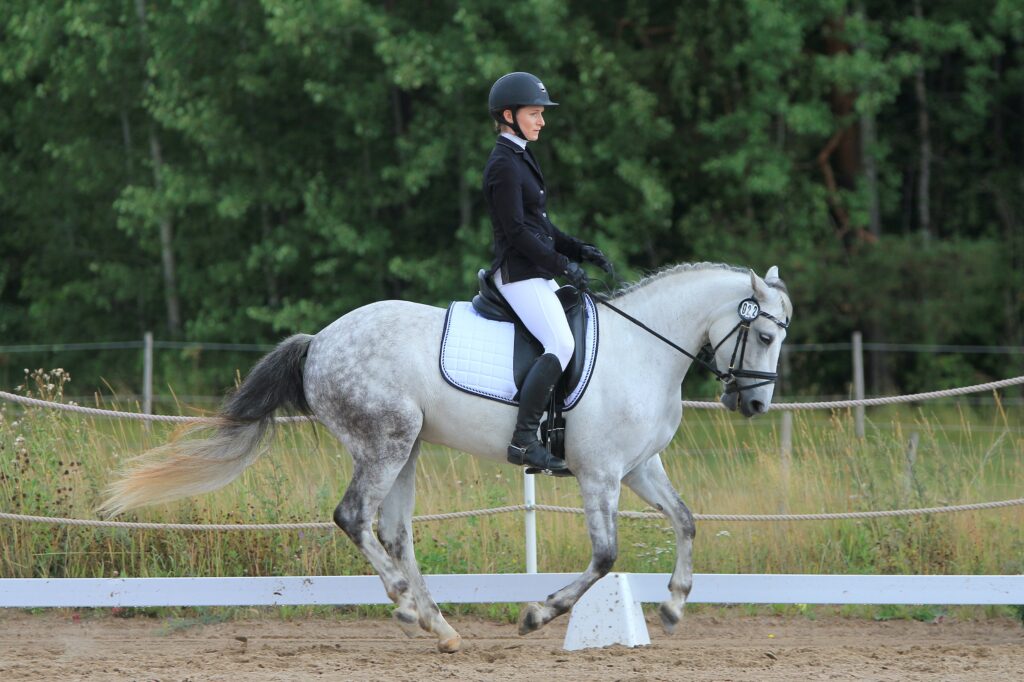 A person cantering a horse around a dressage arena