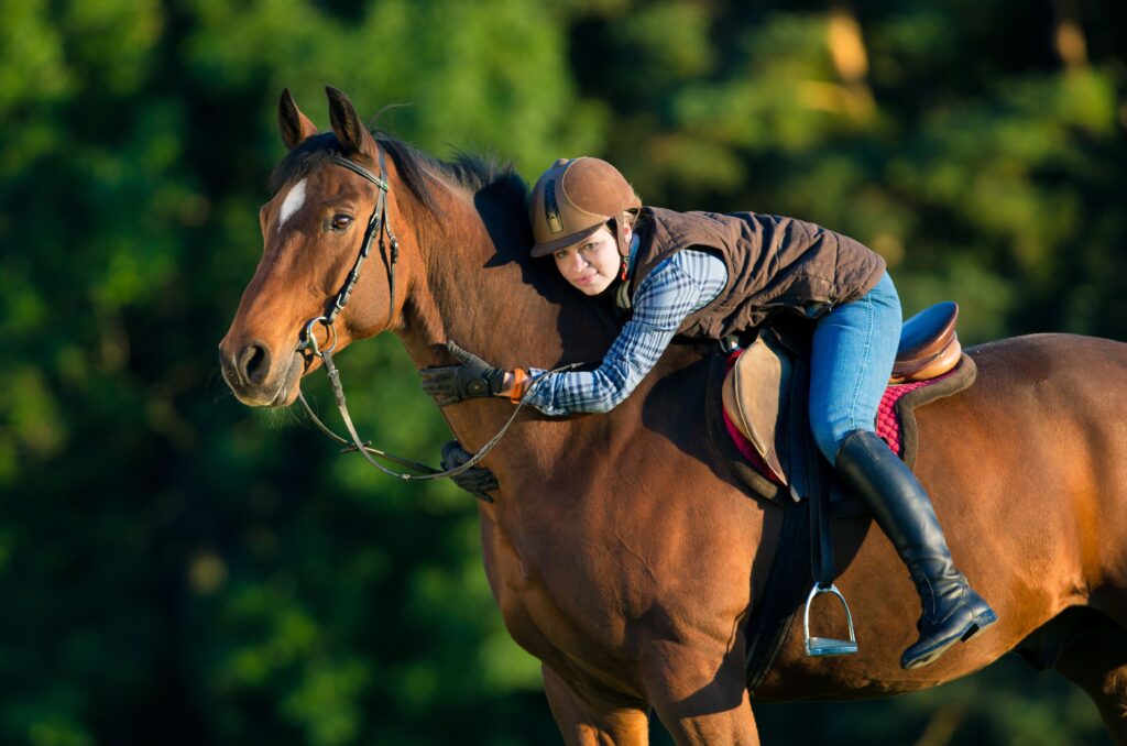 A girl riding the horse she leases