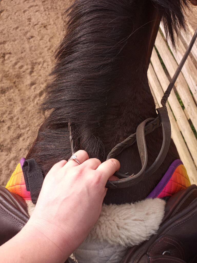 A person wearing an engagement ring while riding a horse