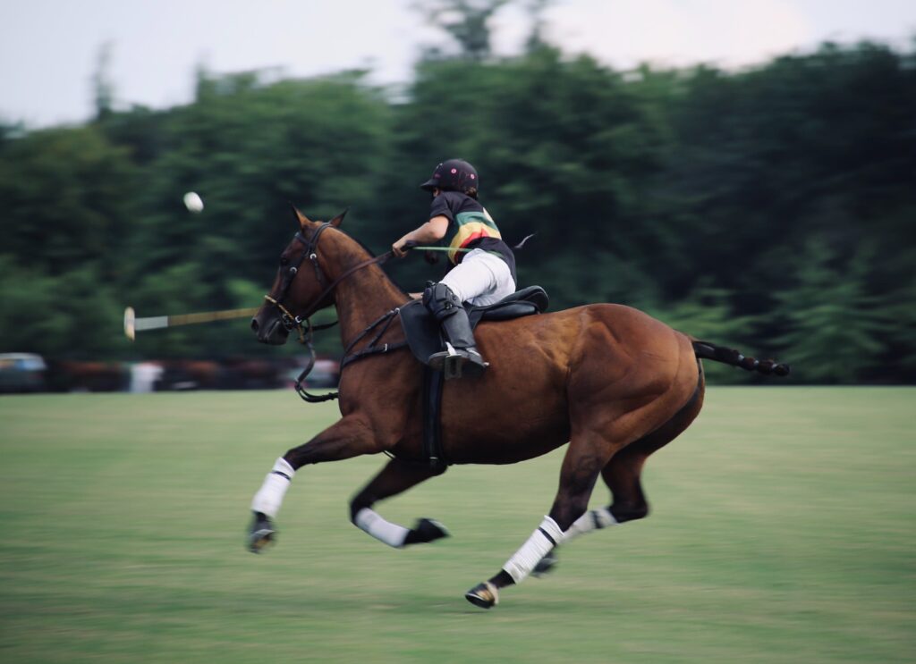 A rider and horse wearing polo wraps